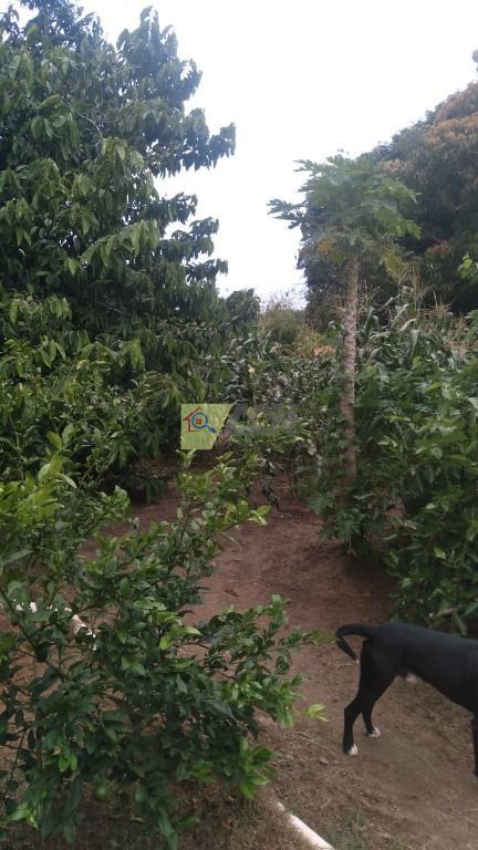 Chácara, 3 quartos, 2085 m² - Foto 7