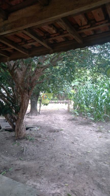 Chácara, 3 quartos, 2085 m² - Foto 8