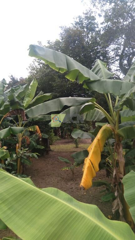 Chácara, 3 quartos, 2085 m² - Foto 12