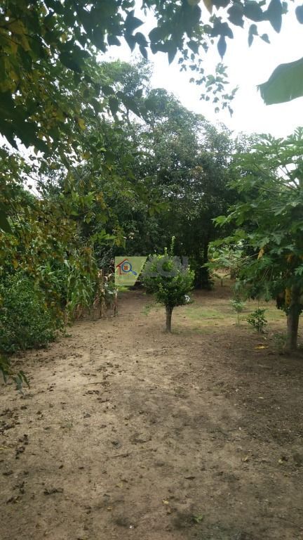 Chácara, 3 quartos, 2085 m² - Foto 10