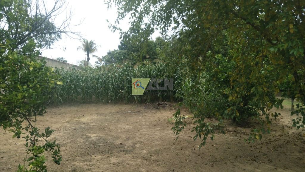 Chácara, 3 quartos, 2085 m² - Foto 11