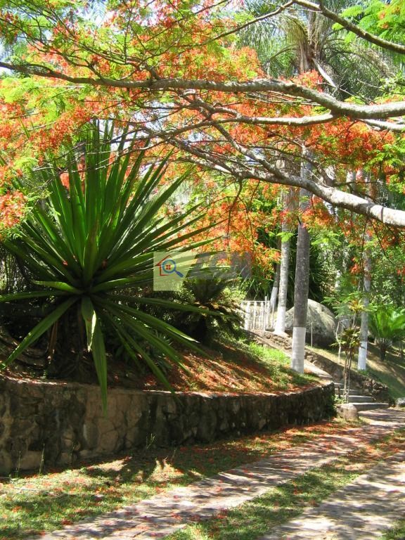 Chácara, 7 quartos, 10000 m² - Foto 19