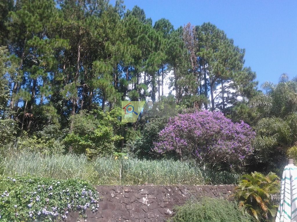 Chácara, 7 quartos, 10000 m² - Foto 7