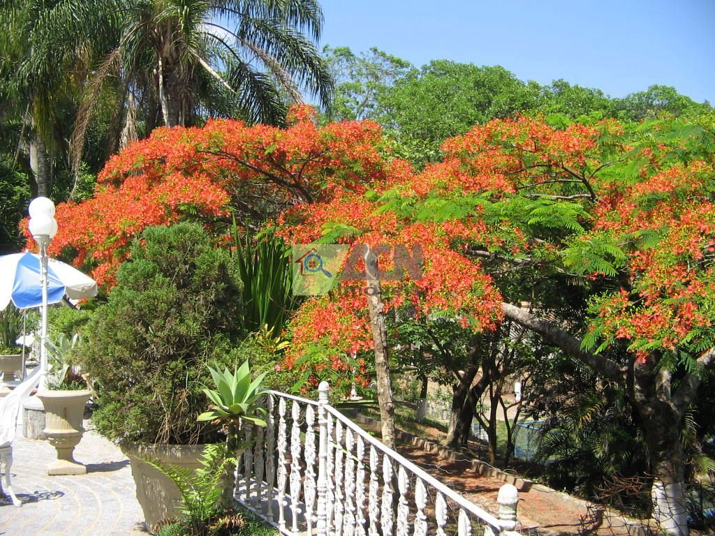 Chácara, 7 quartos, 10000 m² - Foto 20