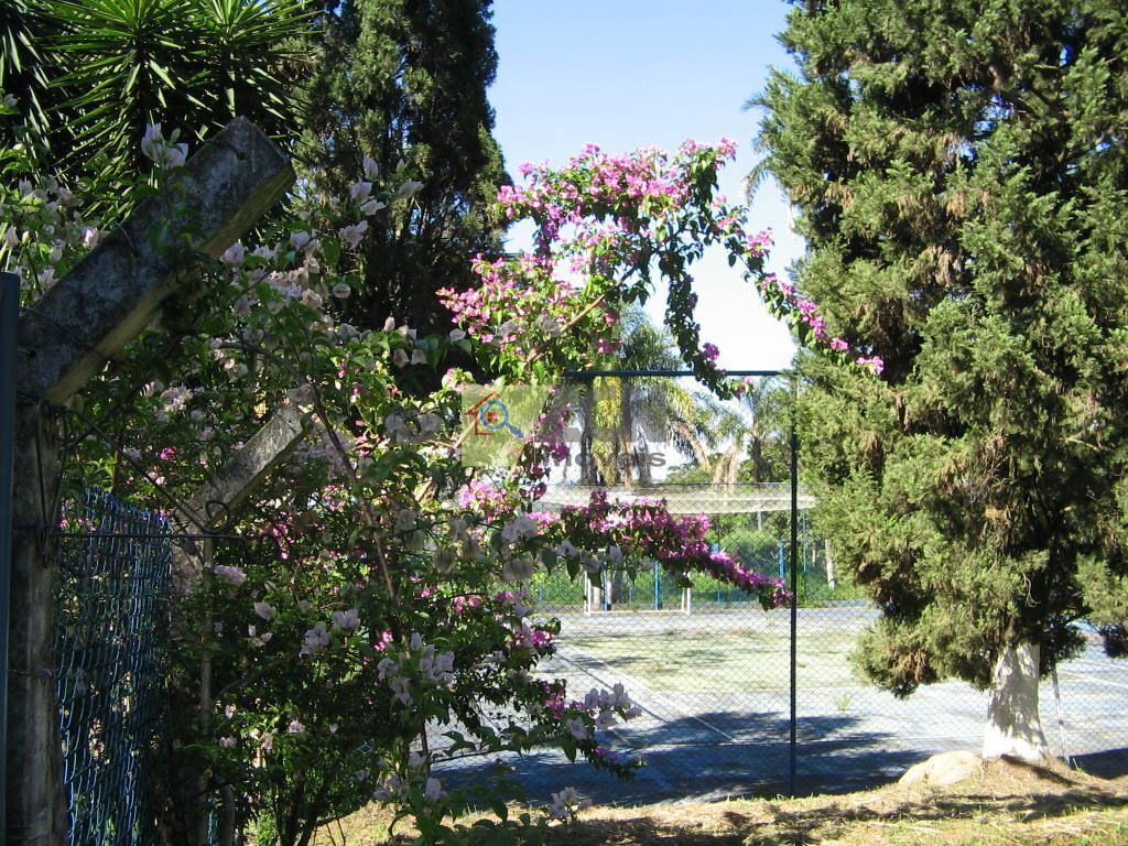 Chácara, 7 quartos, 10000 m² - Foto 32