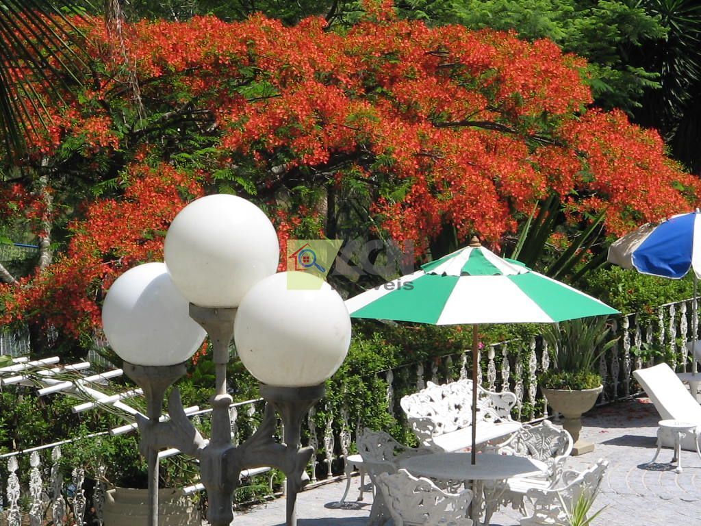 Chácara, 7 quartos, 10000 m² - Foto 23