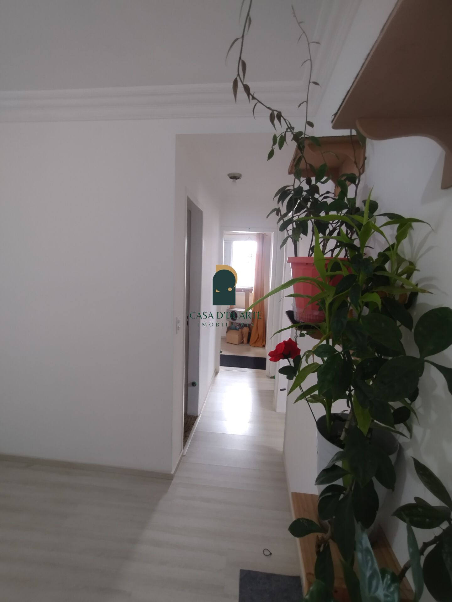 Apartamento, 3 quartos, 64 m² - Foto 24