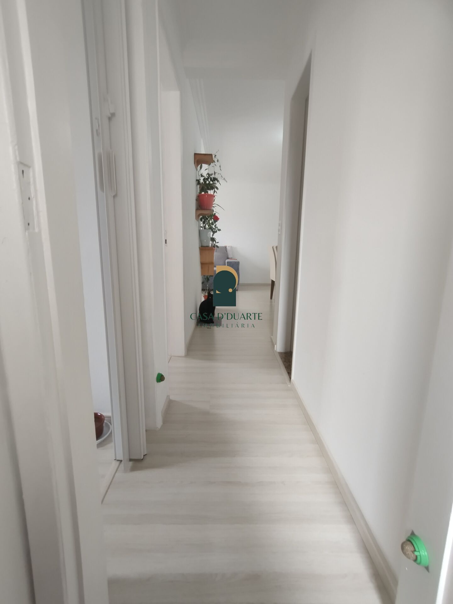 Apartamento, 3 quartos, 64 m² - Foto 22
