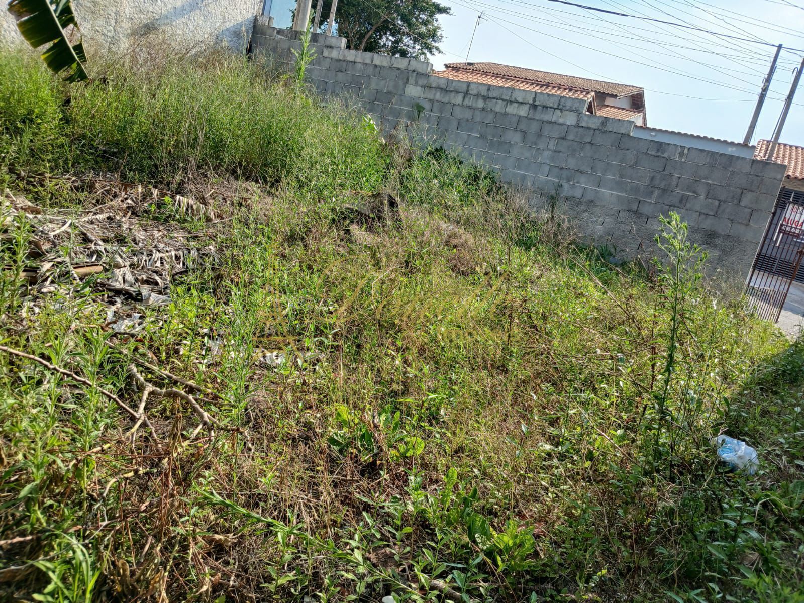 Terreno, 191 m² - Foto 4