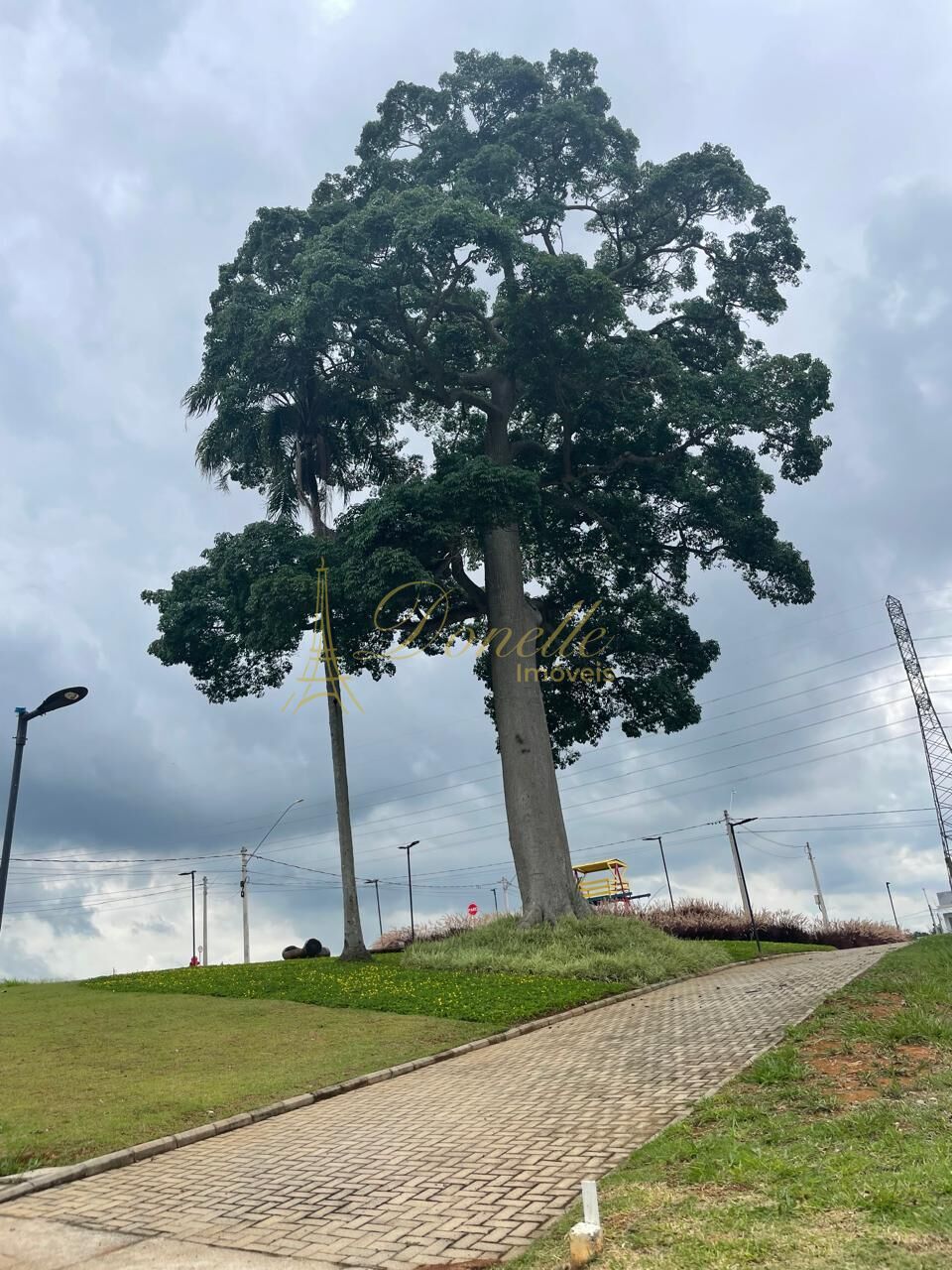 Terreno, 176 m² - Foto 4