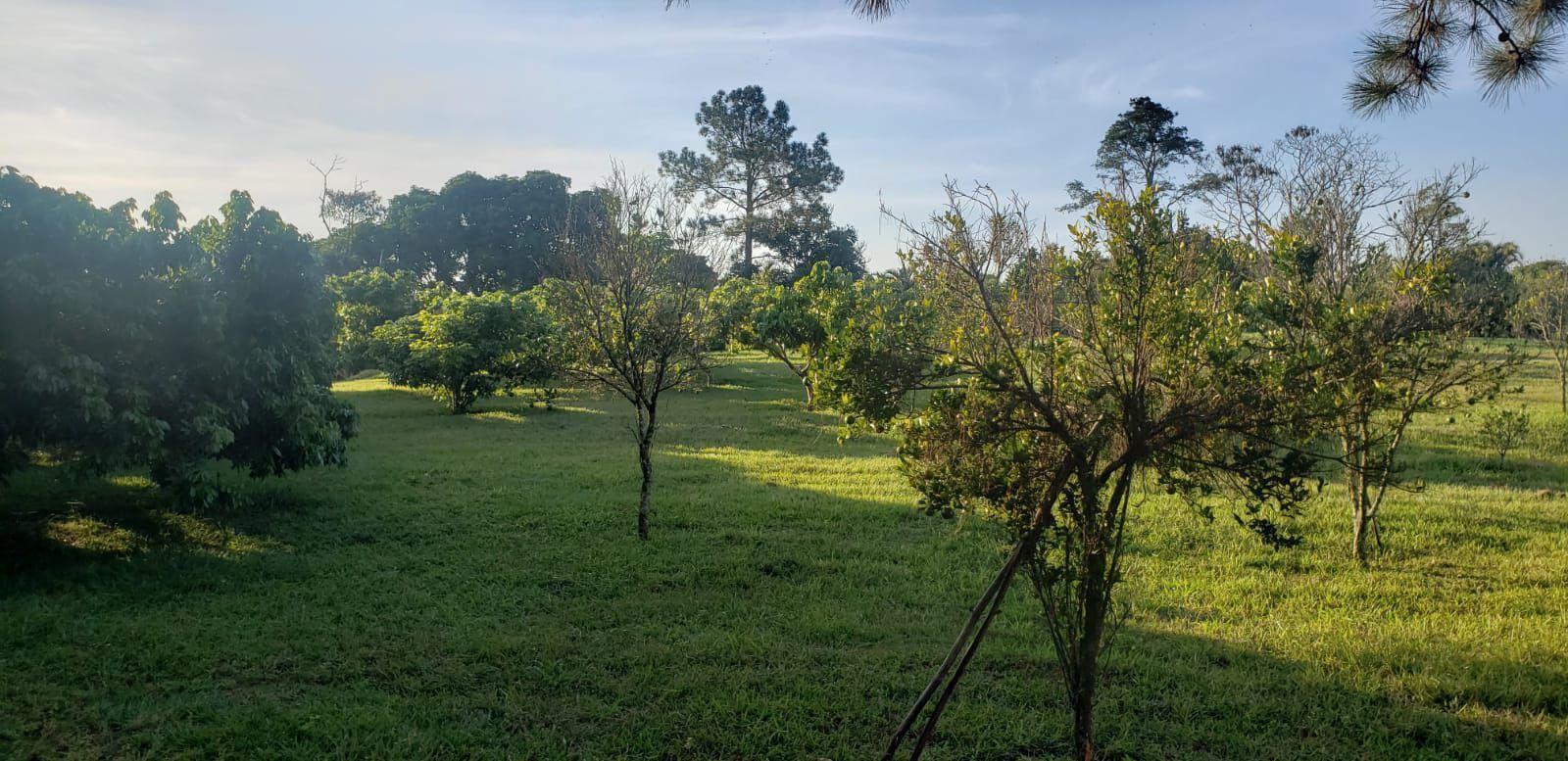 Sítio, 3 quartos, 4 hectares - Foto 42