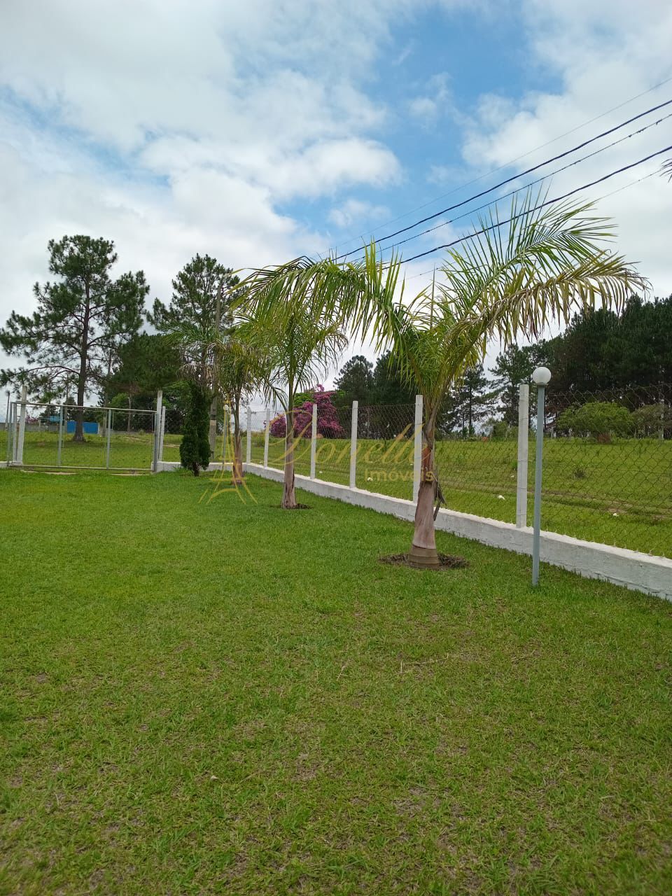 Chácara, 3 quartos, 2200 m² - Foto 22