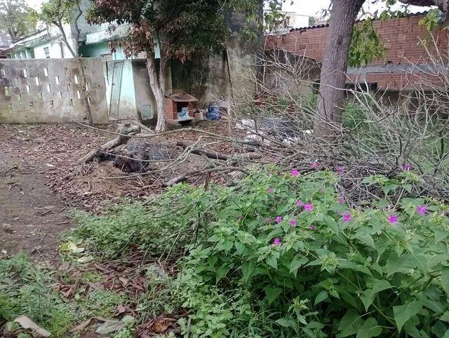 Terreno, 500 m² - Foto 2