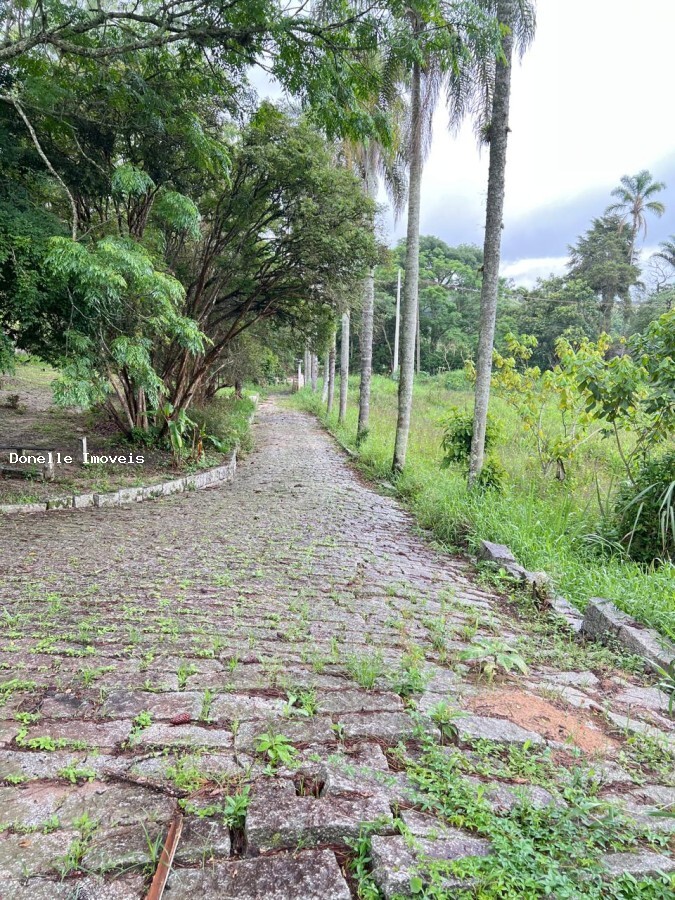 Terreno, 2 hectares - Foto 7