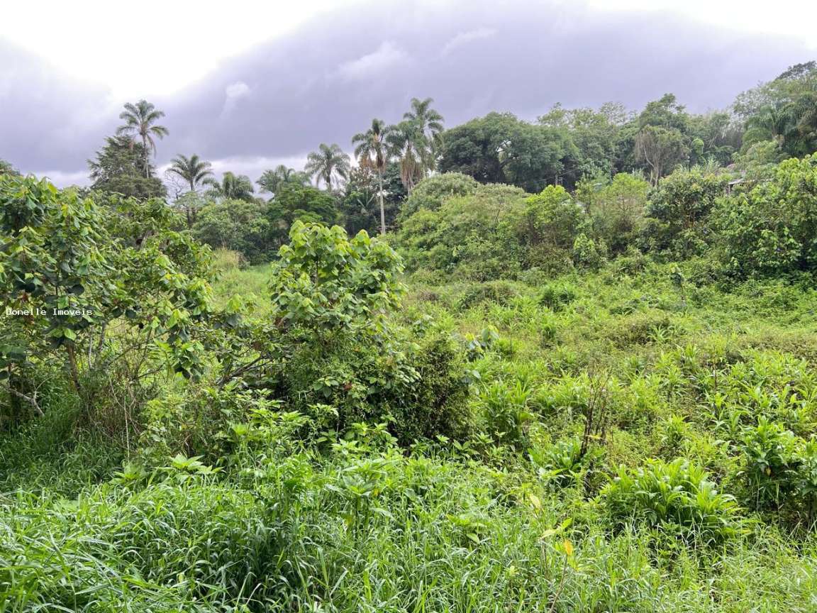 Terreno, 2 hectares - Foto 3