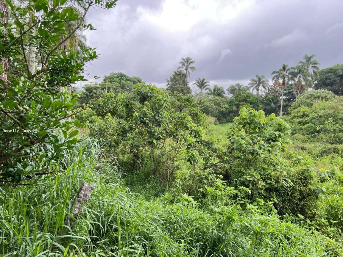 Terreno, 2 hectares - Foto 4