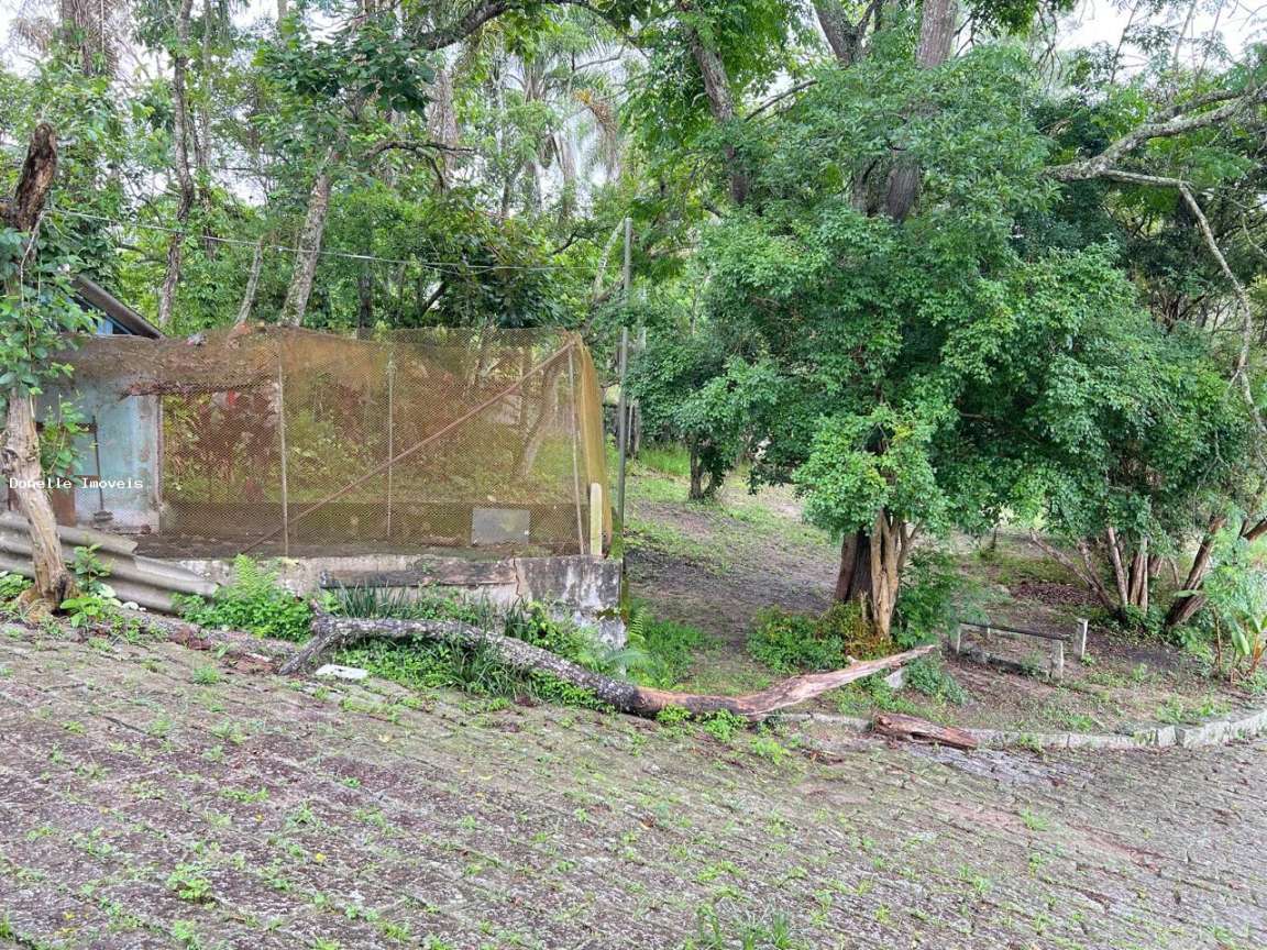 Terreno, 2 hectares - Foto 2