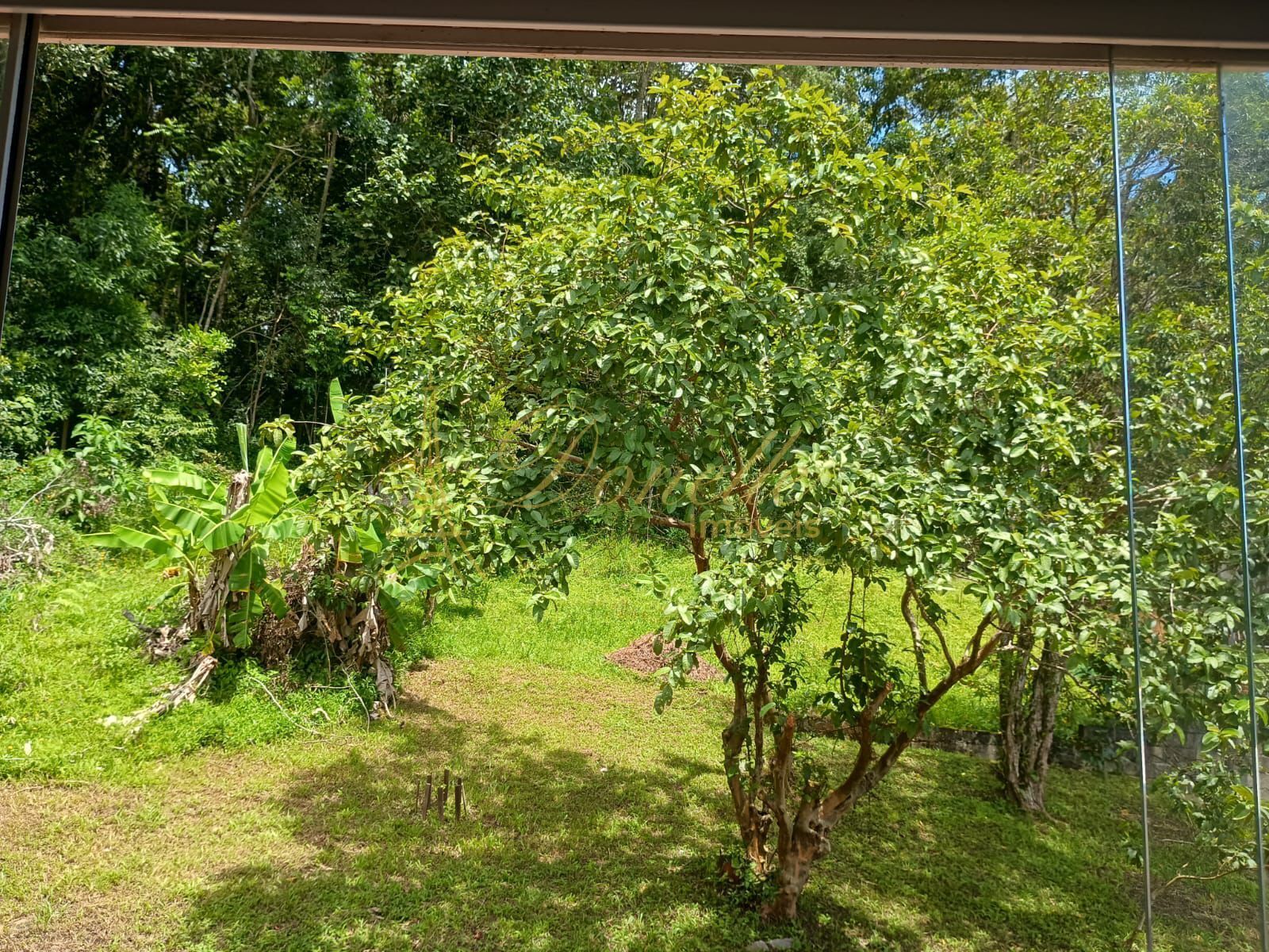 Sítio, 3 quartos, 1000 m² - Foto 10