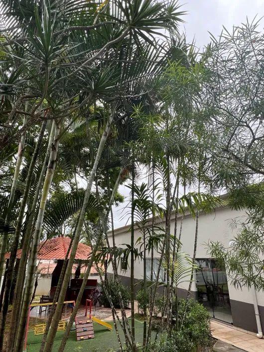 Apartamento, 3 quartos, 74 m² - Foto 43