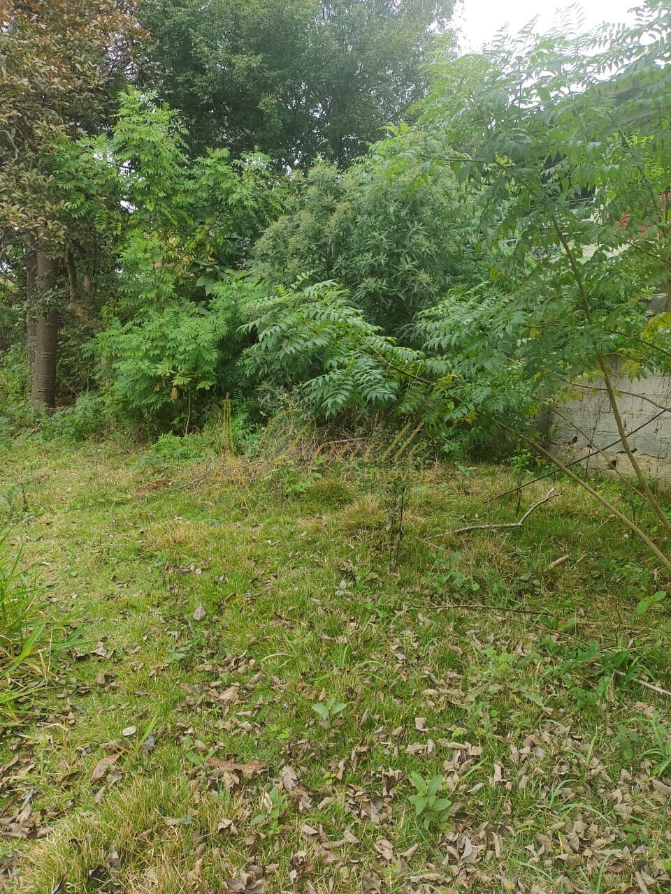 Casa, 3 quartos, 134 m² - Foto 19