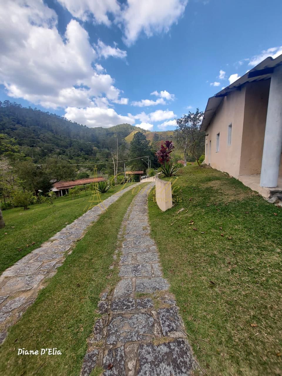 Chácara, 3 quartos, 5 hectares - Foto 2