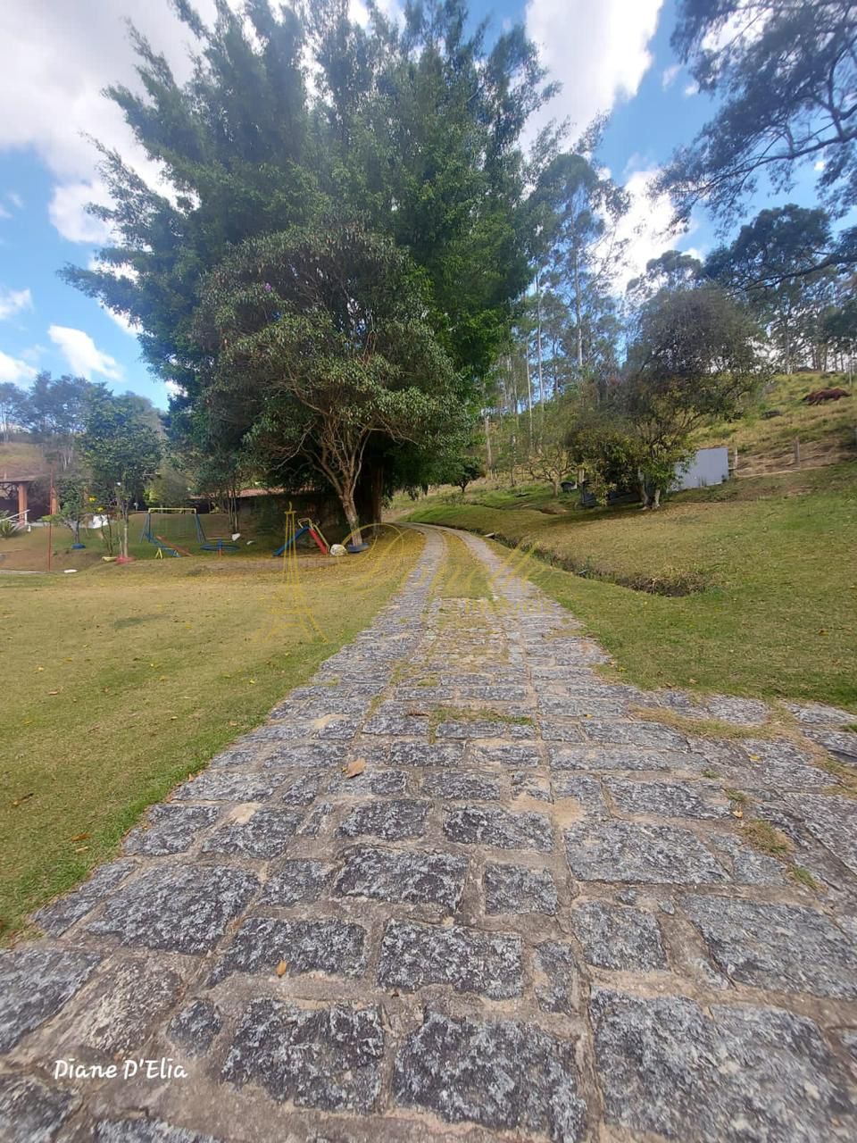 Chácara, 3 quartos, 5 hectares - Foto 19