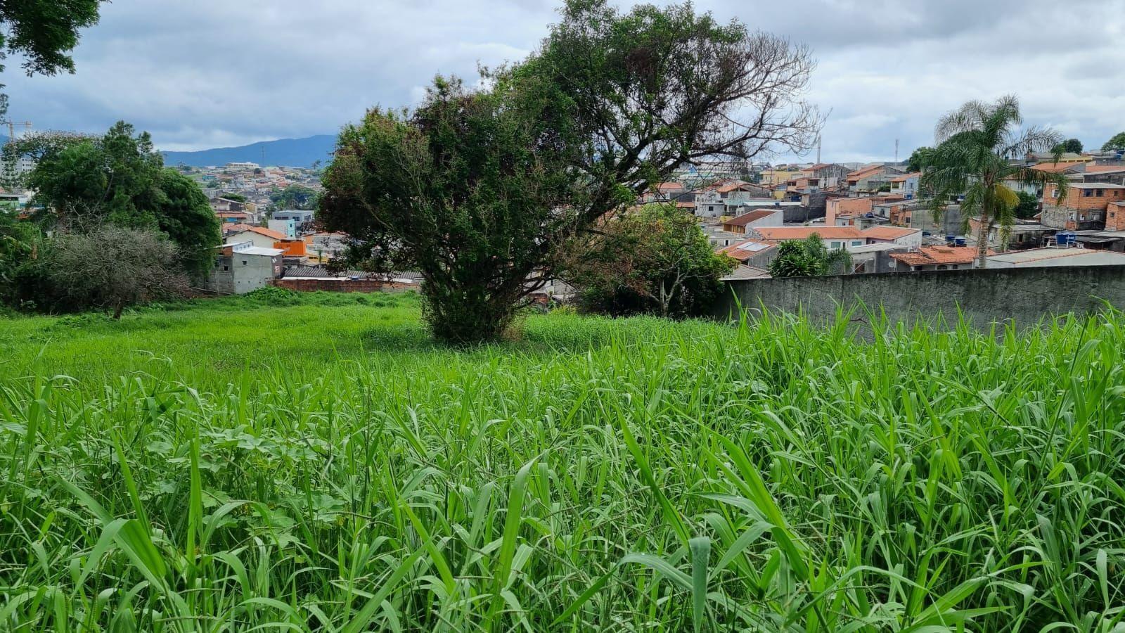 Terreno, 5800 m² - Foto 4