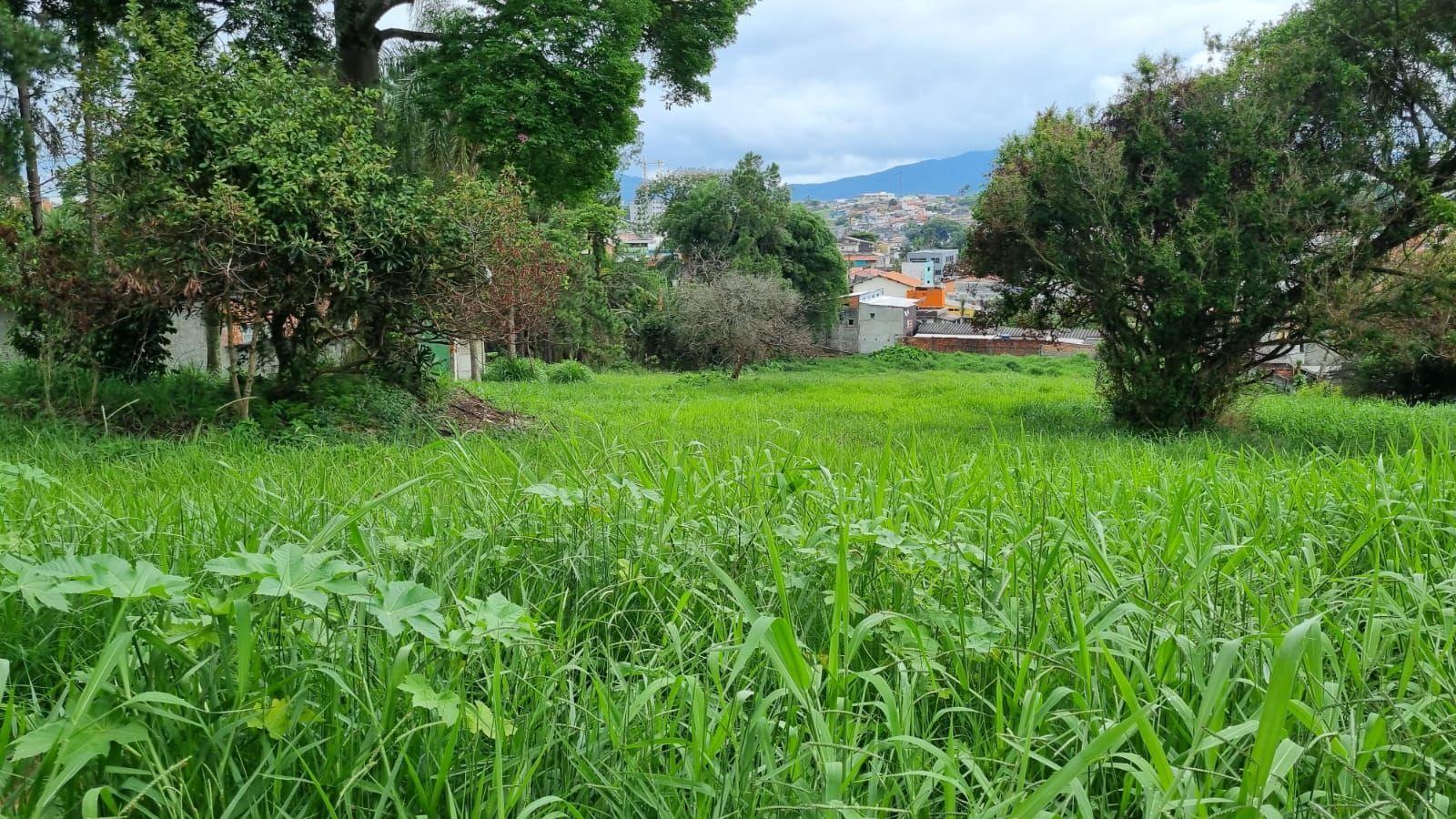 Terreno, 5800 m² - Foto 10