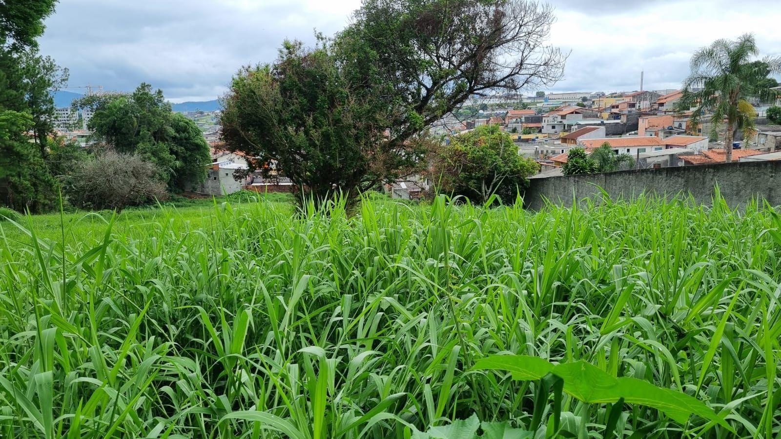 Terreno, 5800 m² - Foto 2