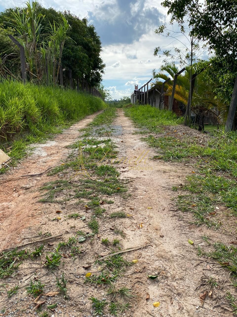 Sítio, 3 quartos, 3680 m² - Foto 5