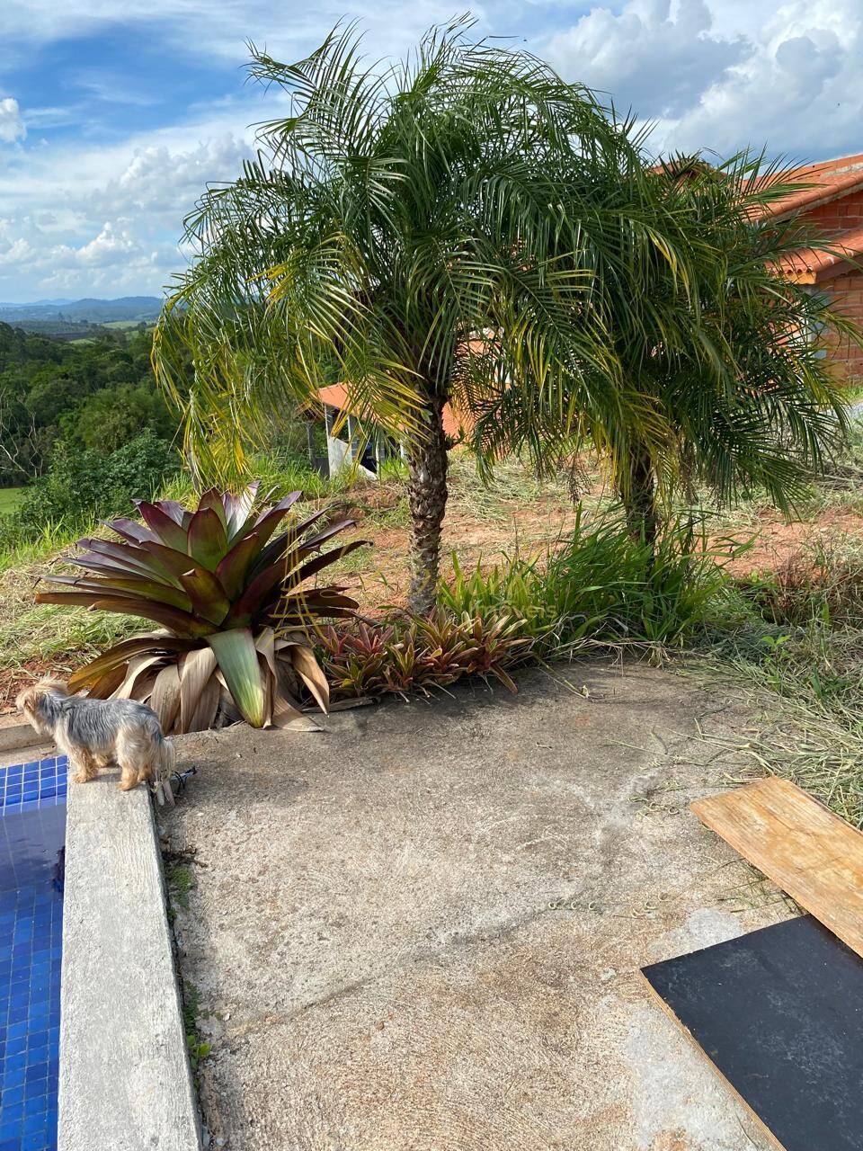 Sítio, 3 quartos, 3680 m² - Foto 9