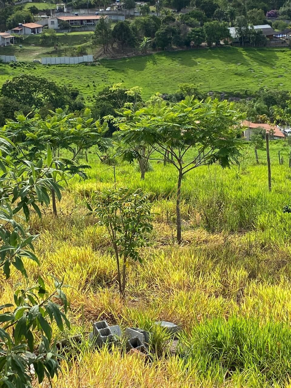 Sítio, 3 quartos, 3680 m² - Foto 14