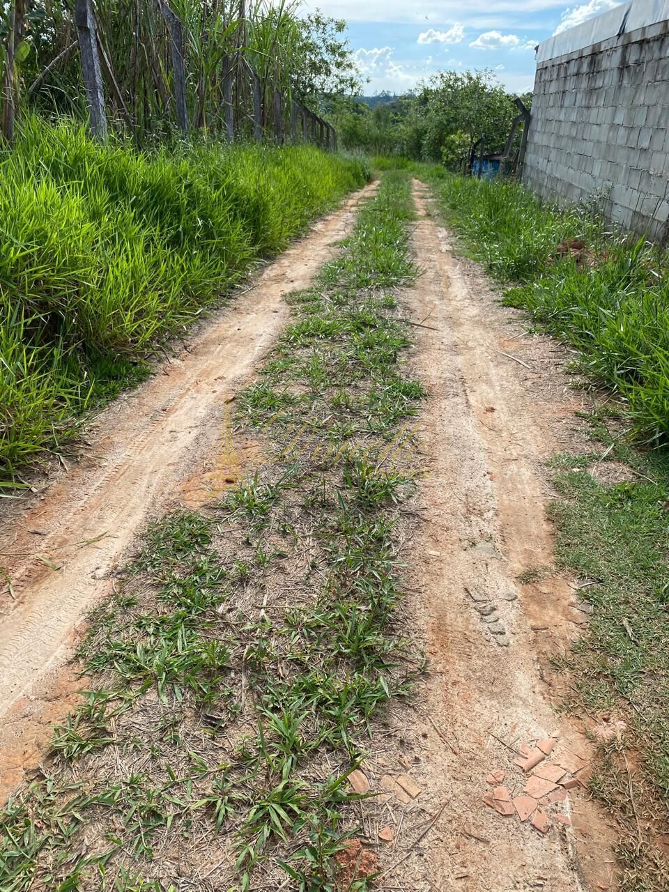 Sítio, 3 quartos, 3680 m² - Foto 11