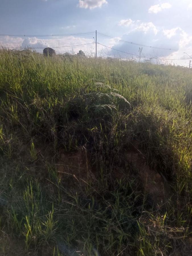 Terreno, 250 m² - Foto 6