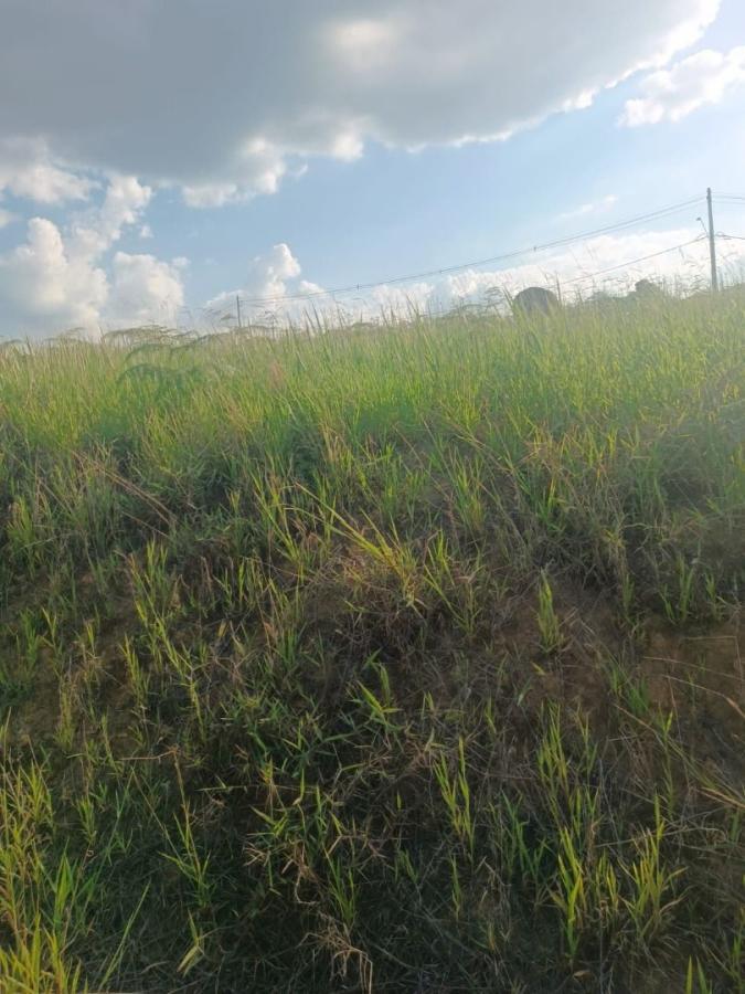 Terreno, 250 m² - Foto 9