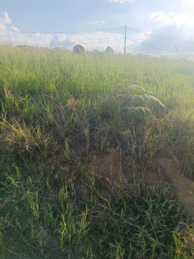 Terreno, 250 m² - Foto 8