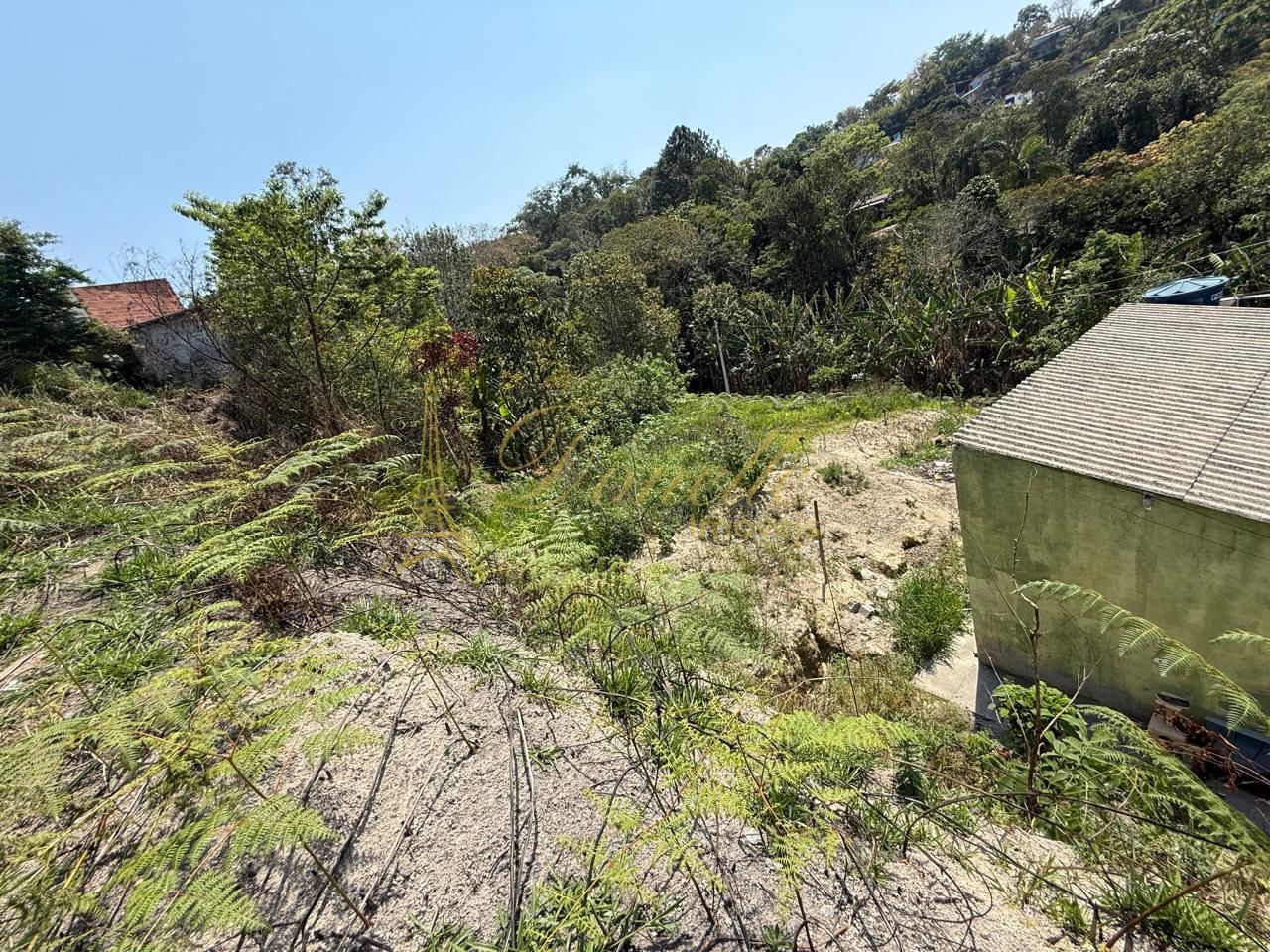 Chácara, 2 quartos, 1700 m² - Foto 3