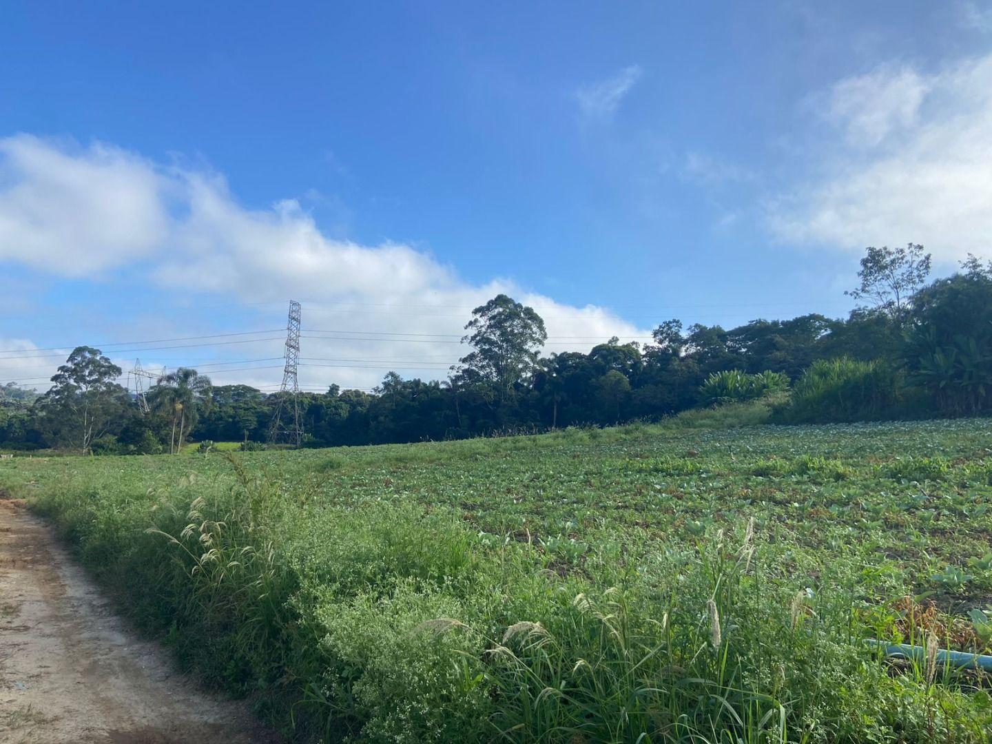 Terreno, 19 hectares - Foto 1