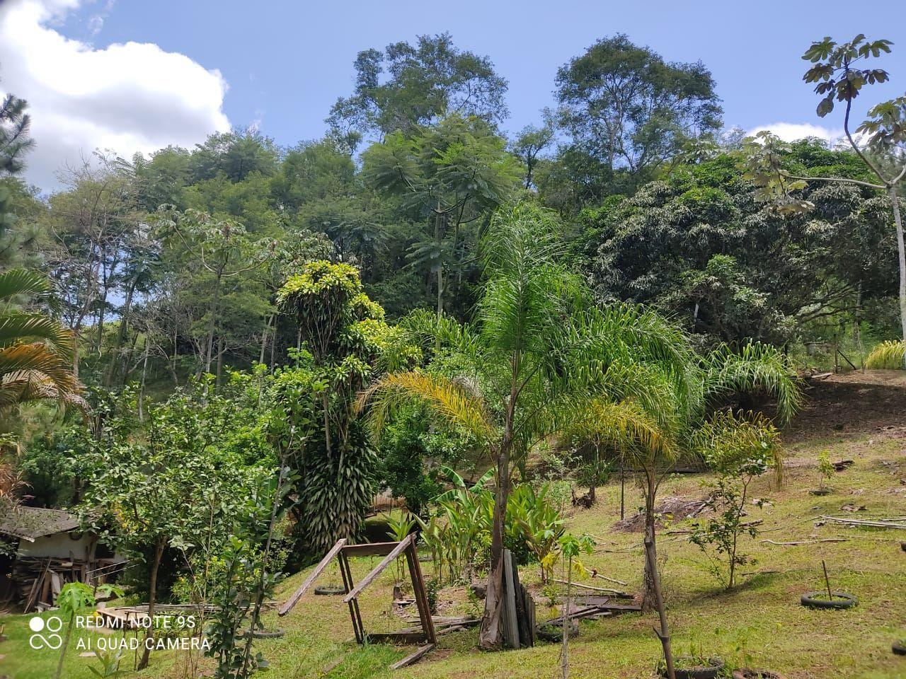 Sítio, 2 quartos, 1 hectares - Foto 3