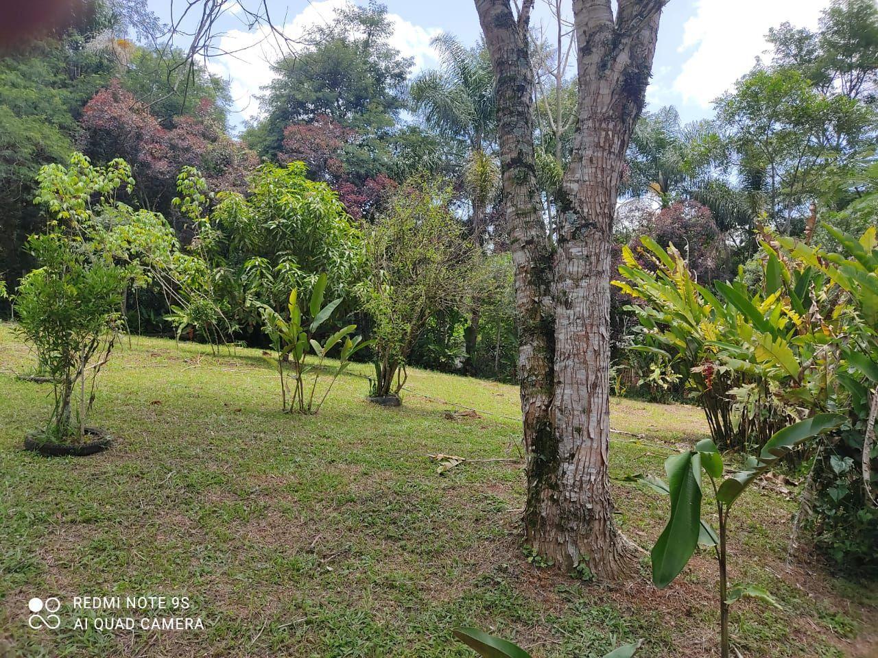 Sítio, 2 quartos, 1 hectares - Foto 6