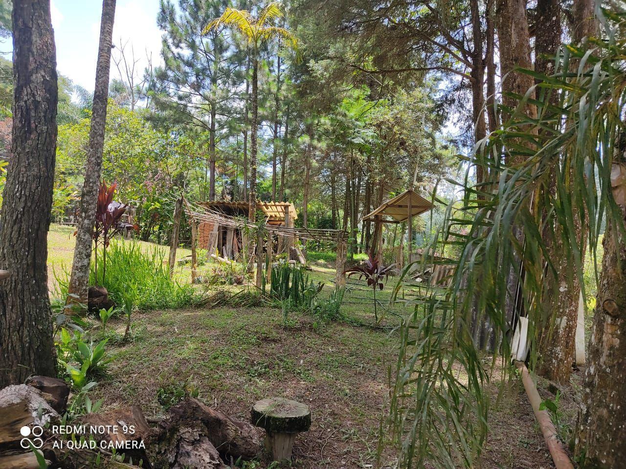 Sítio, 2 quartos, 1 hectares - Foto 12