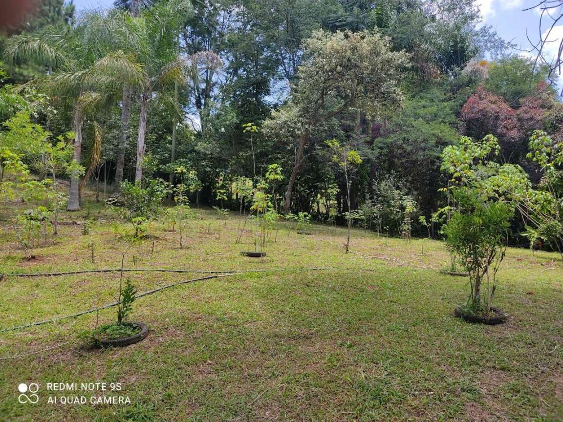 Sítio, 2 quartos, 1 hectares - Foto 5