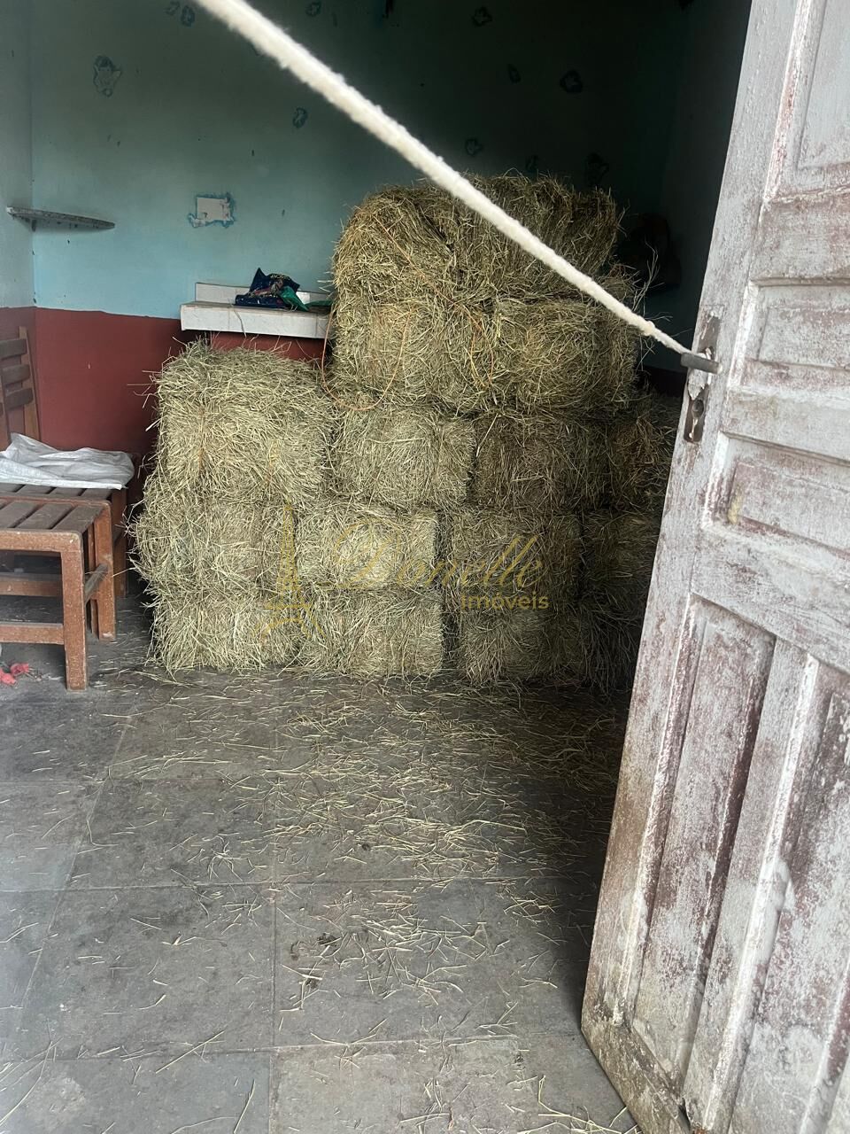 Chácara, 3 quartos, 2 hectares - Foto 6