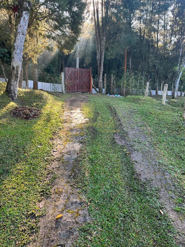 Chácara, 3 quartos, 2 hectares - Foto 9