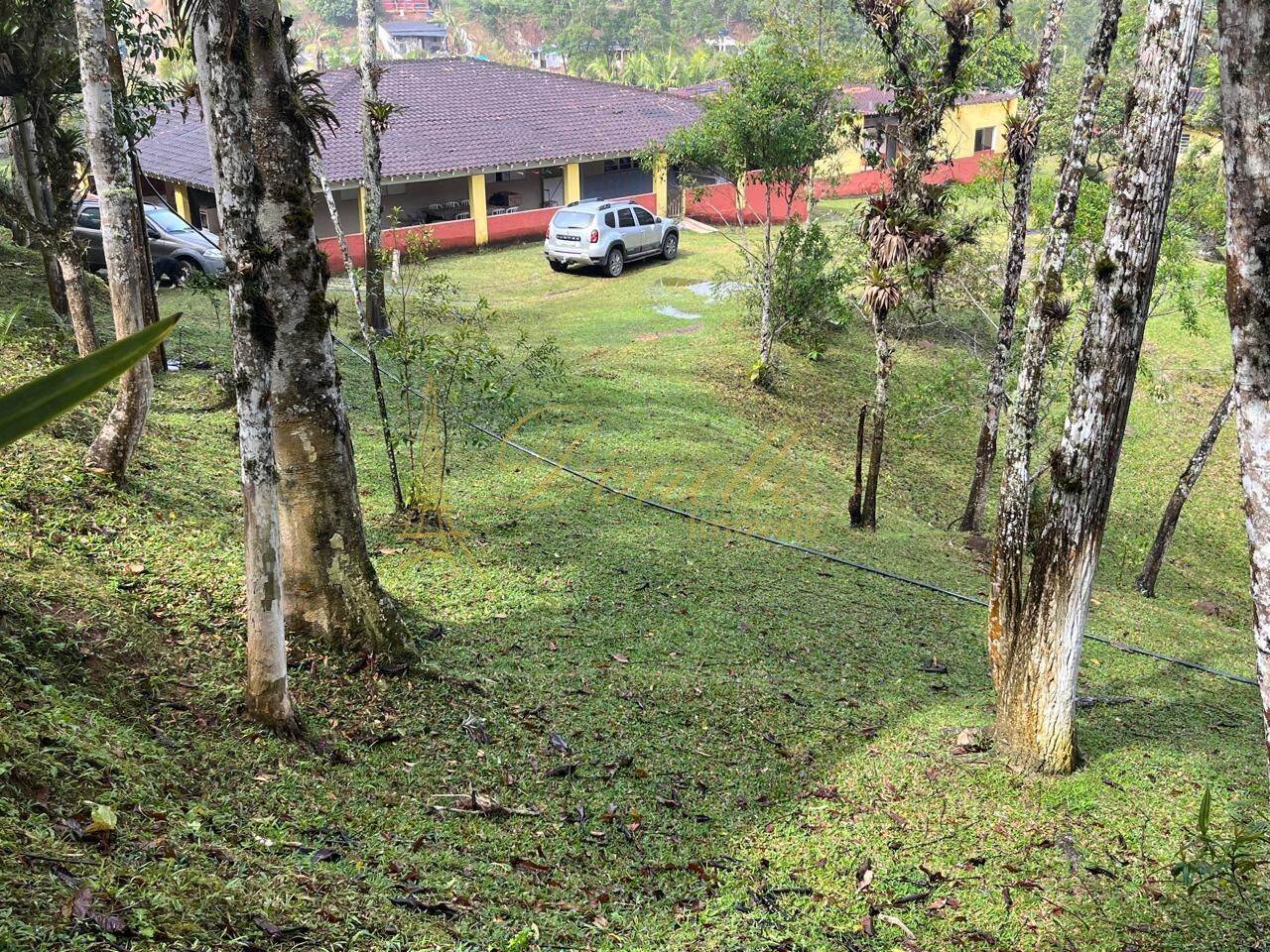 Chácara, 3 quartos, 2 hectares - Foto 14