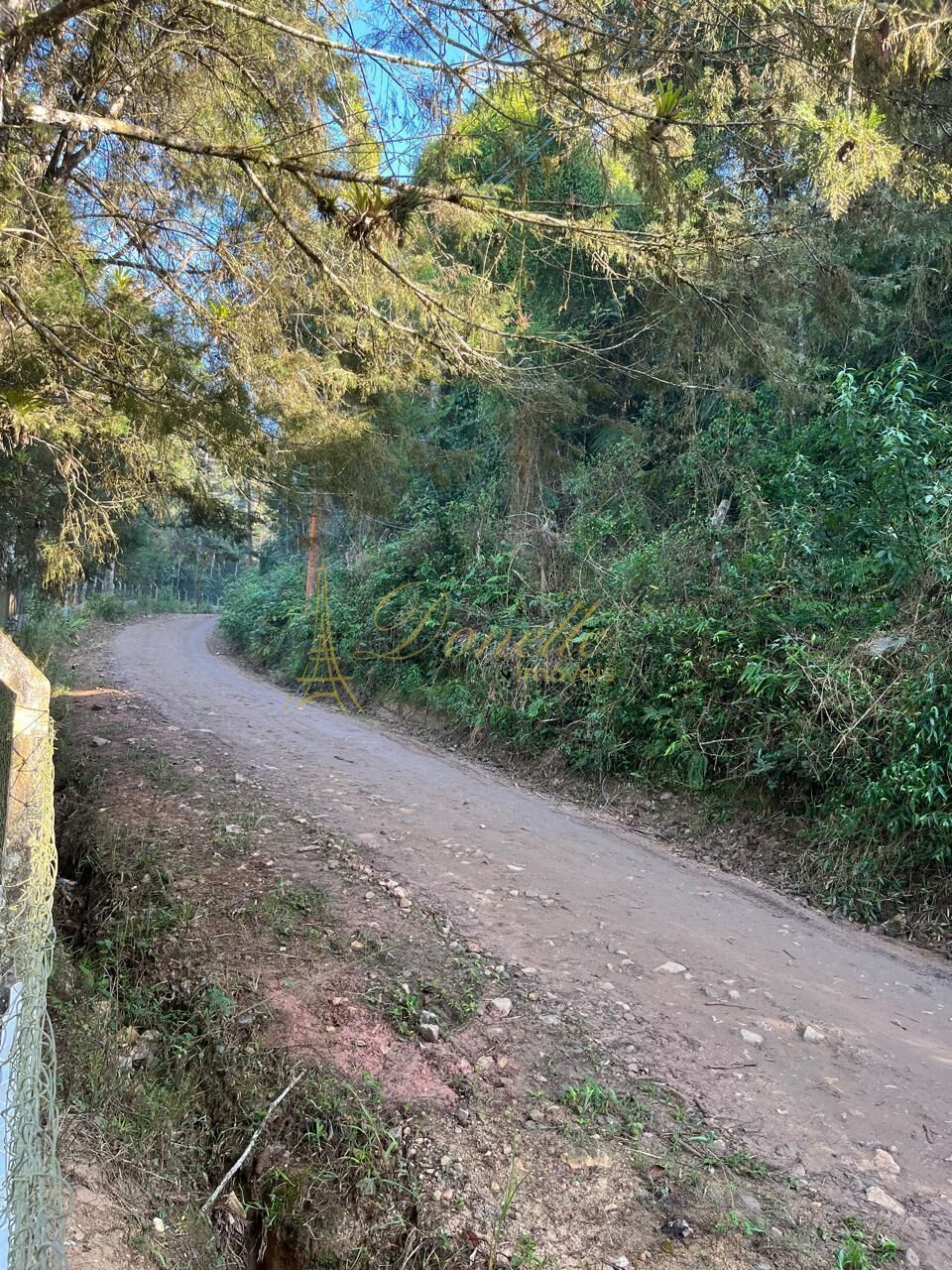 Chácara, 3 quartos, 2 hectares - Foto 5