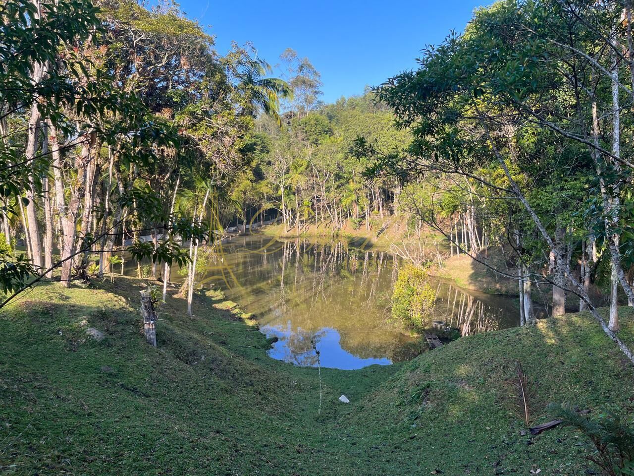 Chácara, 3 quartos, 2 hectares - Foto 2