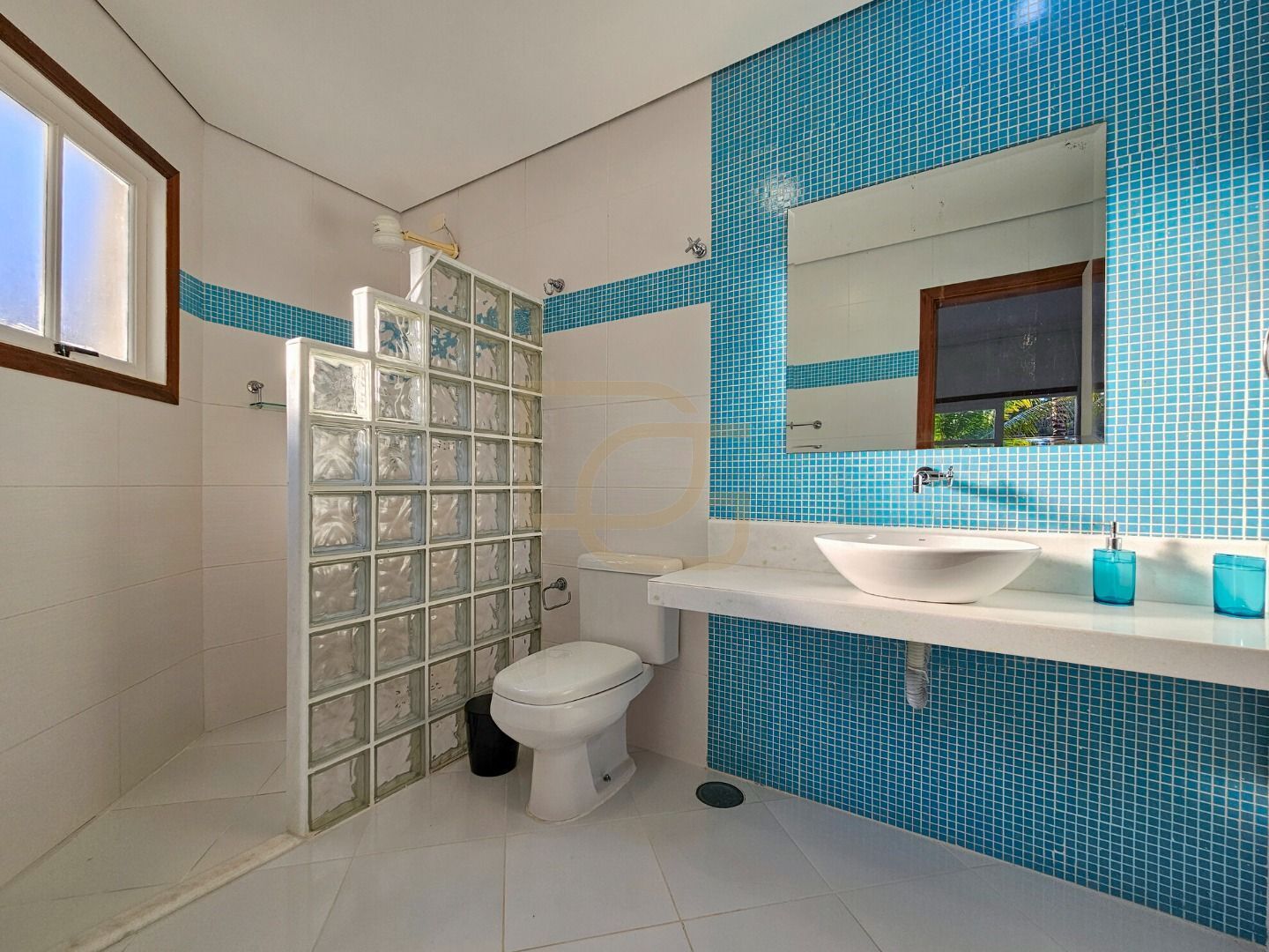 Casa, 4 quartos, 339 m² - Foto 30