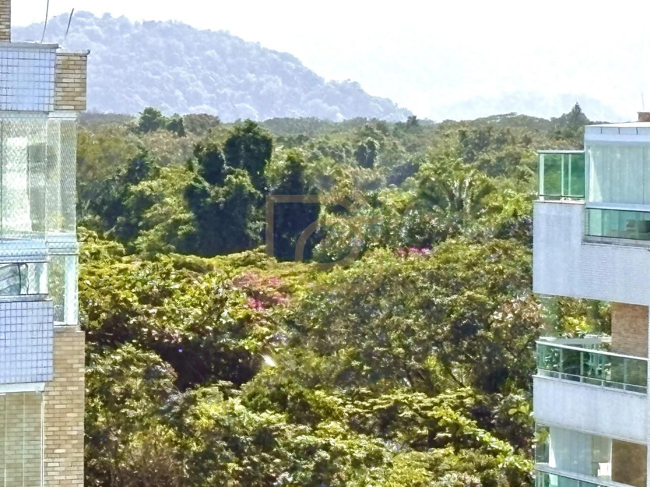 Cobertura, 4 quartos, 204 m² - Foto 5