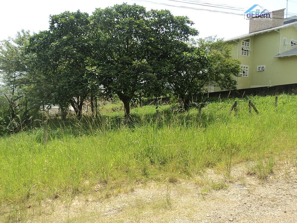 Terreno, 1167 m² - Foto 4